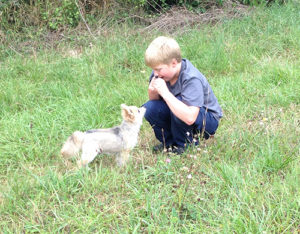 Hund im Kontakt mit Kind bei tiergestützter Intervention