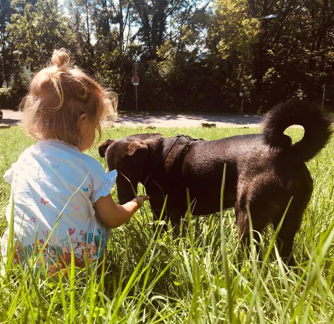Kind und Hund in tiergestützter Pädagogik beim gemeinsamen Spiel